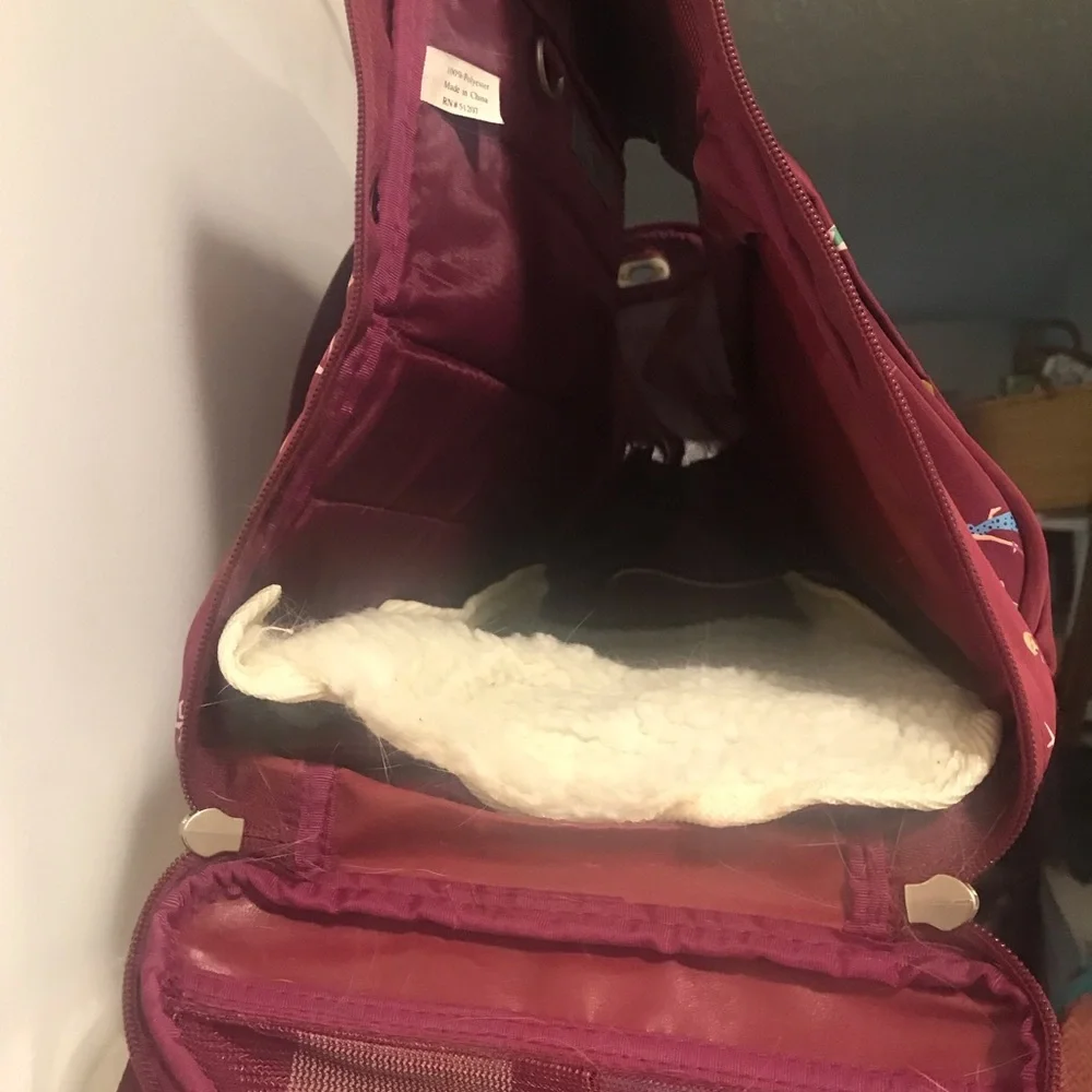 Nicole Miller convertible pet carrier bag